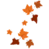 🍂