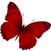 💋