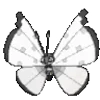 🦋