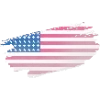 🇺🇸