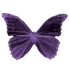 🦋