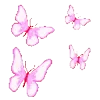 🦋