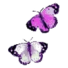 🦋