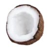 🥥