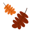 🍂