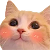 ☺️