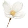 🌸