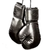 🥊