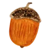 🍂