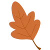 🍂