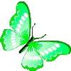 🦋