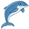🐬