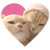 💗