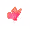 🦋