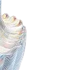 🐚