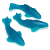 🐬