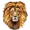 🐯