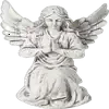 🕊️
