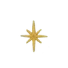 🌟
