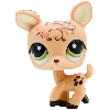 ⭐️