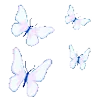 🦋