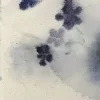 🤩
