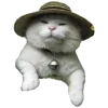 👒