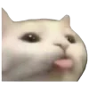 😛