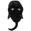🐈‍⬛