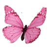 🦋