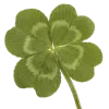 🍀