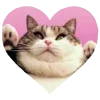 💗