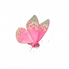 🦋