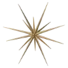 ⭐