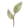 🌱