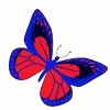 🦋