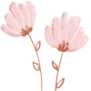 🌷