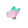 🦋