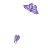 🦋