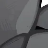 🦈