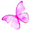 🦋