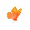🦋