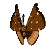 🦋