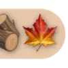 🍂