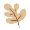 🍁