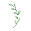 🌱