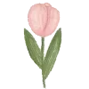 🌷