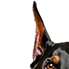 🐕
