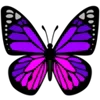 🦋