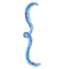 〰️